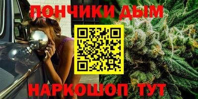 крисы Лениногорск