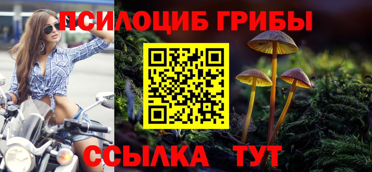 Воркута  Галлюциногенные грибы прущие грибы  Галлюциногенные грибы GOLDEN TEACHER  Вход с VPN 