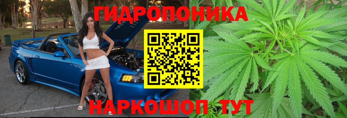 Шишки марихуана SATIVA & INDICA Воркута